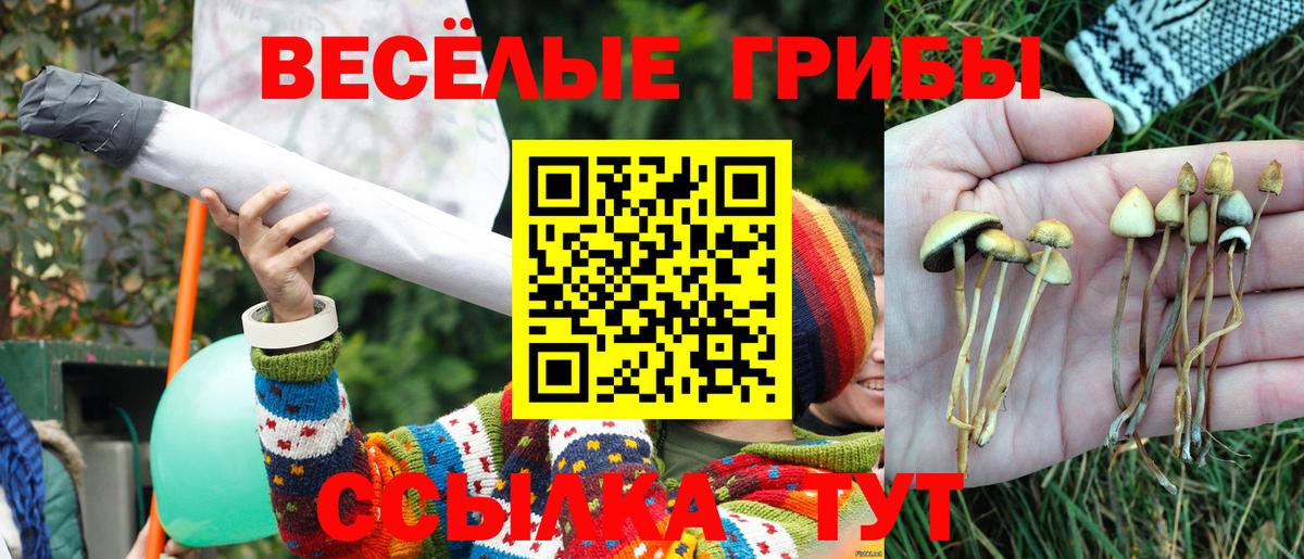 Галлюциногенные грибы прущие грибы  Псилоцибиновые грибы Magic Shrooms  Вход с VPN  Сызрань 